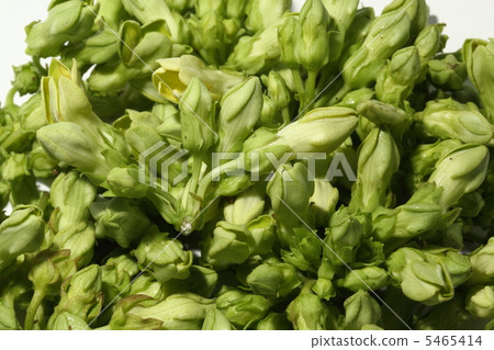 Yellician's Flower Nitebird incense Thailand 5465414