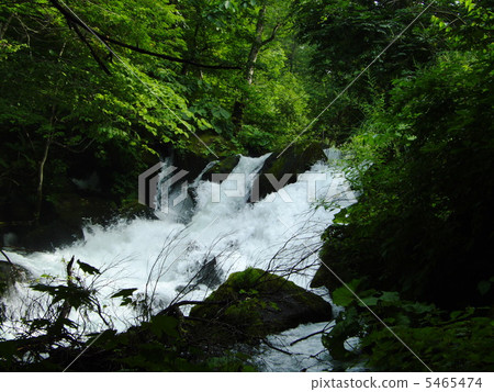 山間溪流 山間溪流 5465474