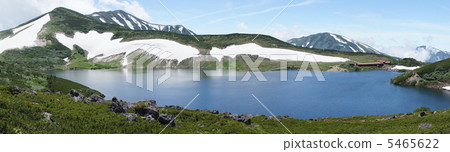 White Plum Oike Panorama 5465622