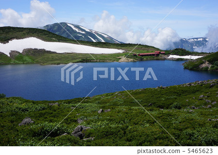 白梅花尾池 5465623