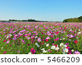 Sanko CosmosGarden③ 5466209