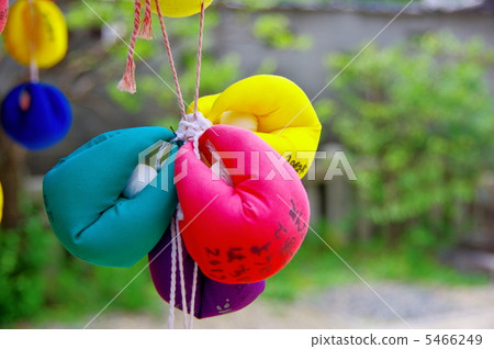 Kagori monkey of Yasaka Kogen Kagori monkey of Yasaka Kogen 5466249