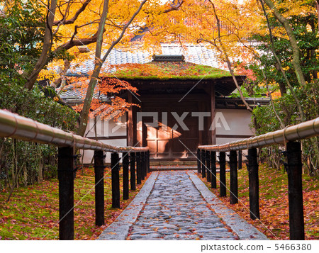 Daitokuji Takauchiin in autumn 5466380