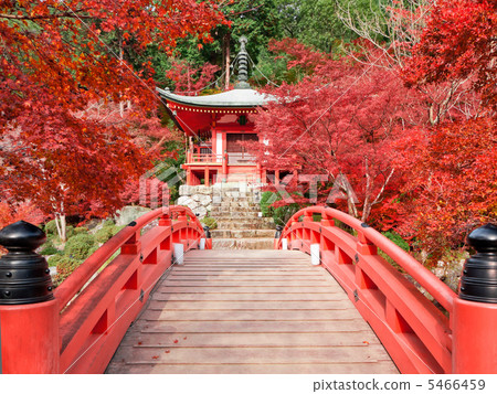 Daigoji Temple Benten in autumn 5466459