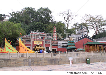 Marshmuw and Rose square 5466663