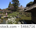 Maiko 5466716