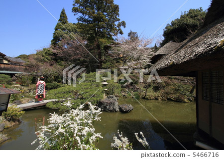 Maiko 5466716