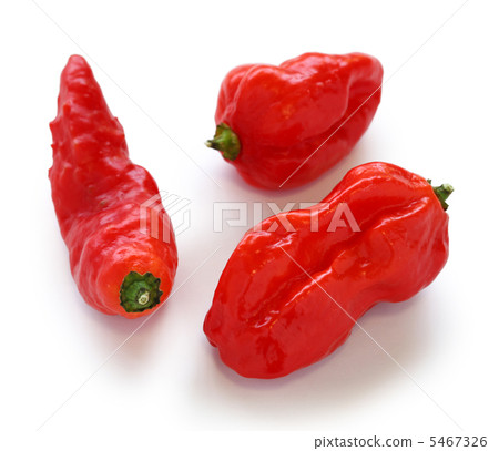 The hardest pepper in the world The hardest pepper in the world 5467326