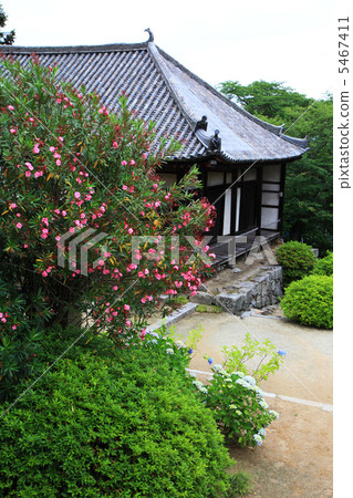 Yamatokoriyama Yada Temple 5467411