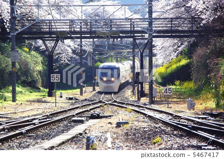 進入Yamakita車站的浪漫車 進入Yamakita車站的浪漫車 5467417