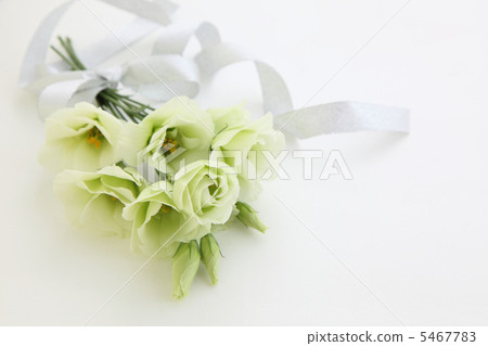 White Turkish Powder White Turkish Powder 5467783