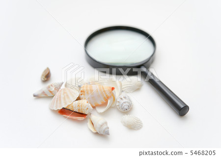 Seashell and magnifying glass 5468205