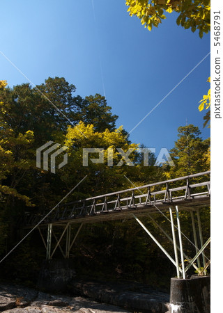 Akazawa自然休閒森林 5468791