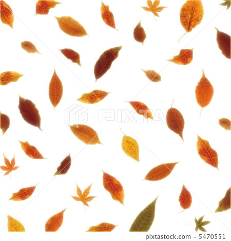 Autumn leaves of backlight 5470551