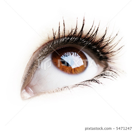 Beautiful Eye of Woman over white background Beautiful Eye of Woman over white background 5471247