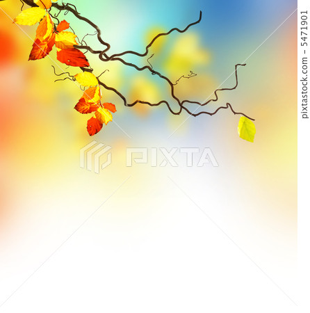 Beautiful Autumn 5471901