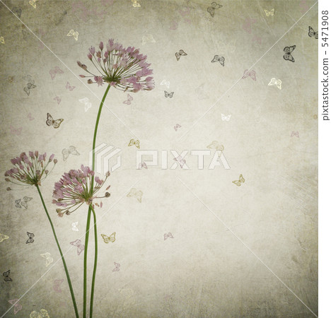 Beautiful Vintage Floral Background Beautiful Vintage Floral Background 5471908