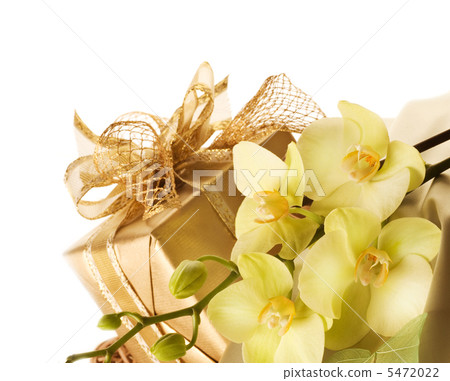 Gift Border Isolated On White 5472022
