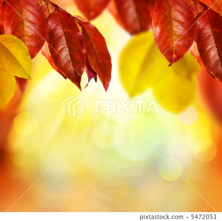 Autumn 5472051