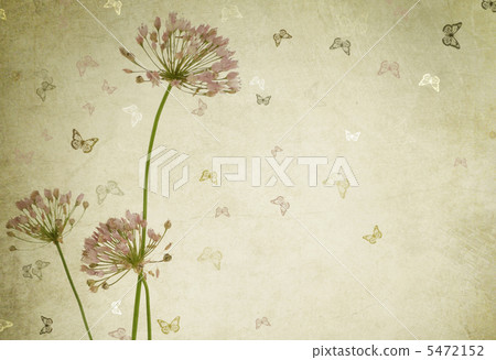 Floral Design Border. Vintage Styled 5472152