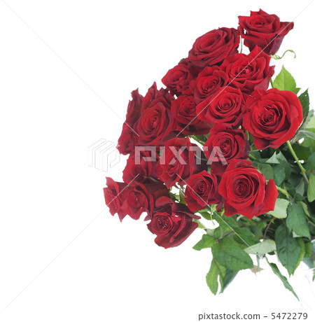 Big Red Roses Bouquet 5472279