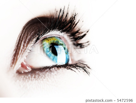 Beautiful Eye Isolated On White 5472596