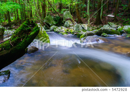 瀧川谷 5472928
