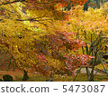 Koime Zenji 5473087