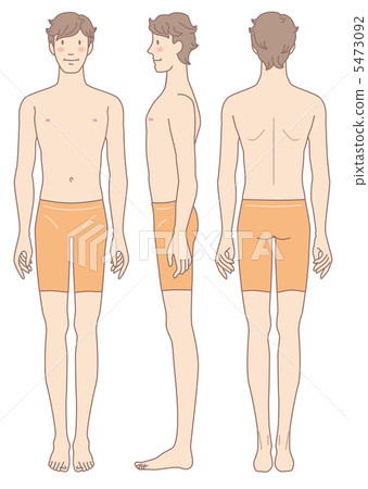 男性身體正面橫向後方外觀 男性身體正面橫向後方外觀 5473092