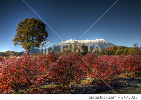 Mt. Ontakesama of autumn leaves Mt. Ontakesama of autumn leaves 5473325