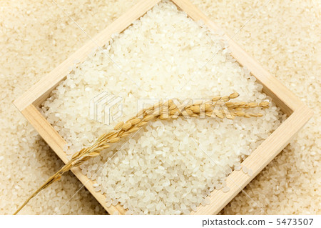 White rice 5473507