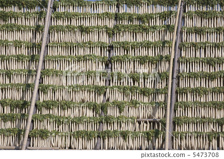 幹蘿蔔 幹蘿蔔 5473708