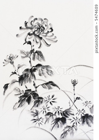 菊花水墨畫 菊花水墨畫 5474689