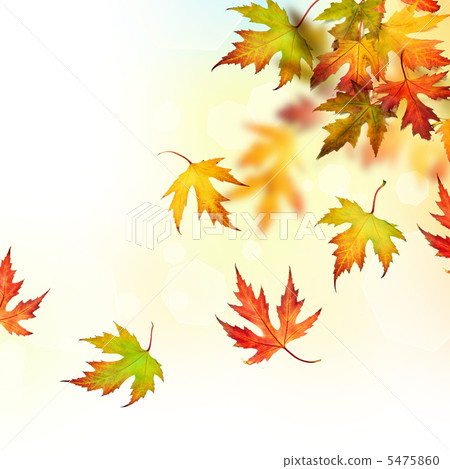 Falling Autumn Leaves 5475860