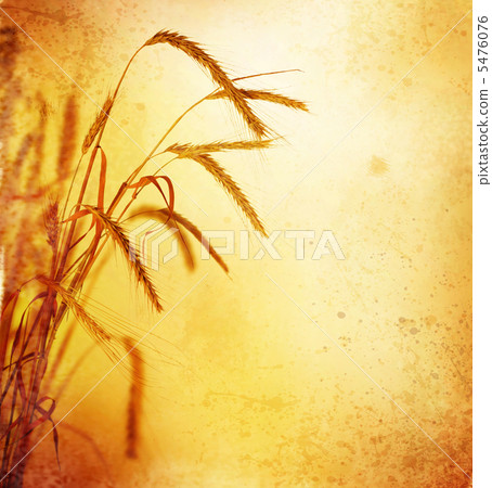 Retro Wheat Ears Retro Wheat Ears 5476076
