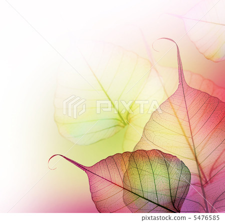 Beautiful Floral Border. Leaves 5476585