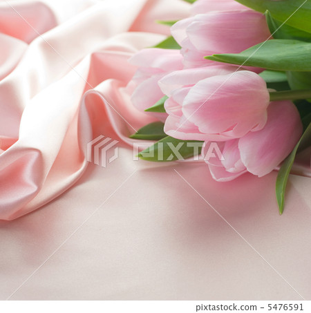 Beautiful Tulips And Silk. With Copy Space Beautiful Tulips And Silk. With Copy Space 5476591