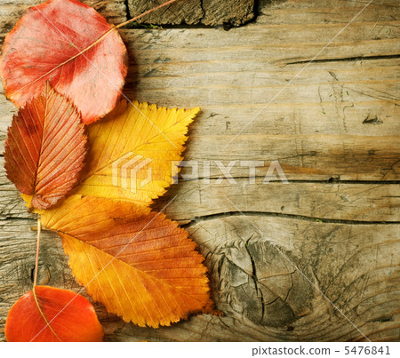 Autumn Leaves over wooden background. With copy space 5476841