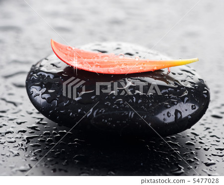 Wet Spa Stone Wet Spa Stone 5477028