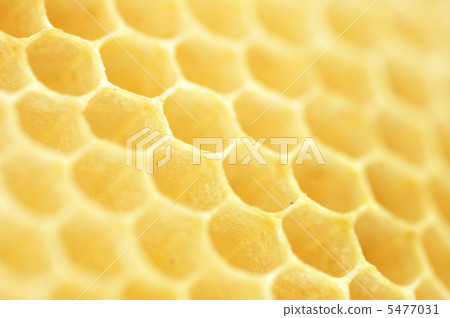 Honeycomb. Shallow DOF Honeycomb. Shallow DOF 5477031