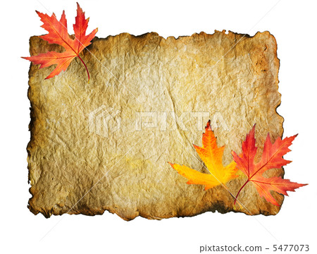Autumn Leaves on the Old Paper sheet isolated on white 5477073