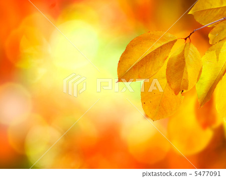 Autumn Abstract Background Autumn Abstract Background 5477091