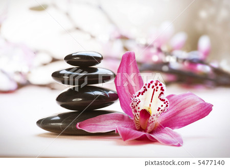 Spa Stones and orchid flower Spa Stones and orchid flower 5477140