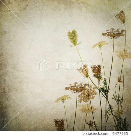 Vintage Floral Border Vintage Floral Border 5477335