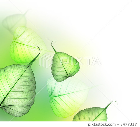 Beautiful Floral Design. Green Leaves 5477337