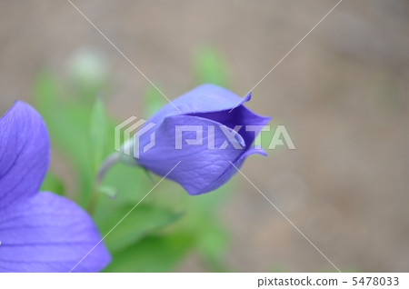 由翻譯提供支持 5478033