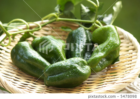 green pepper green pepper 5478098