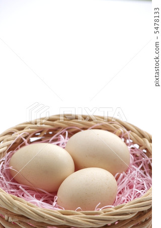 卡特彼勒雞蛋 5478133