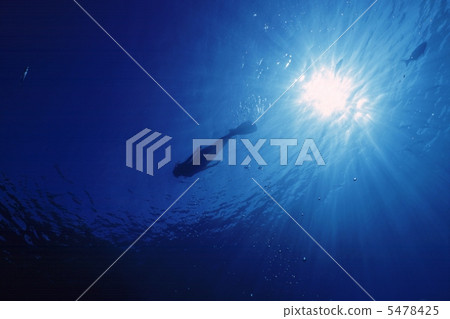 diver, divers, backlight 5478425