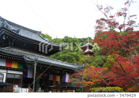 落入京都現在Kumano Kanonji 落入京都現在Kumano Kanonji 5479429